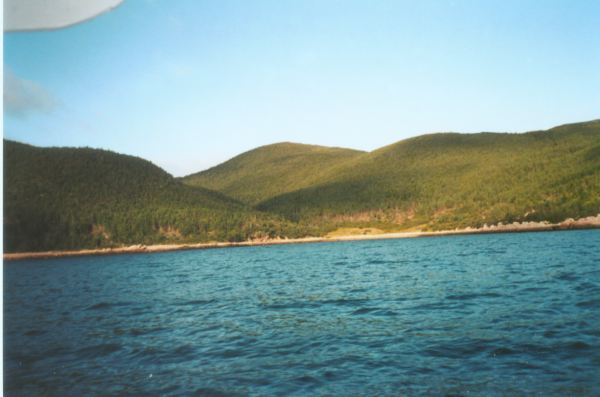 584: Red Island. "Cochrane's Cove". (2002) [courtesy of Heather Walsh]